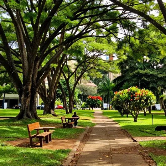 37 lugares imperdíveis na Floresta em Belo Horizonte