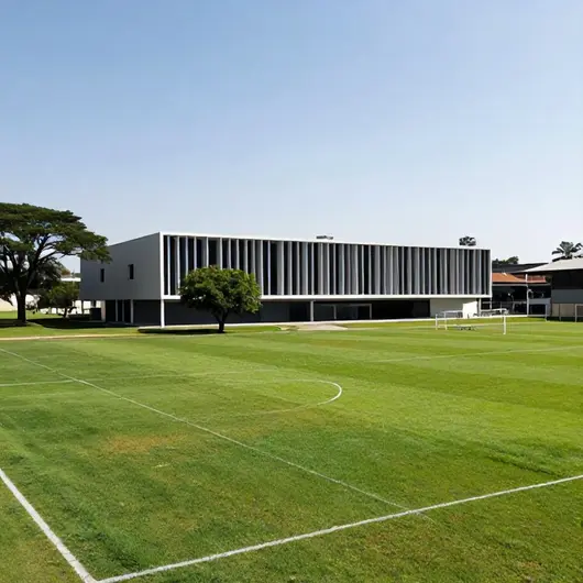 Academia de Futebol do Galo: O Coração do Clube