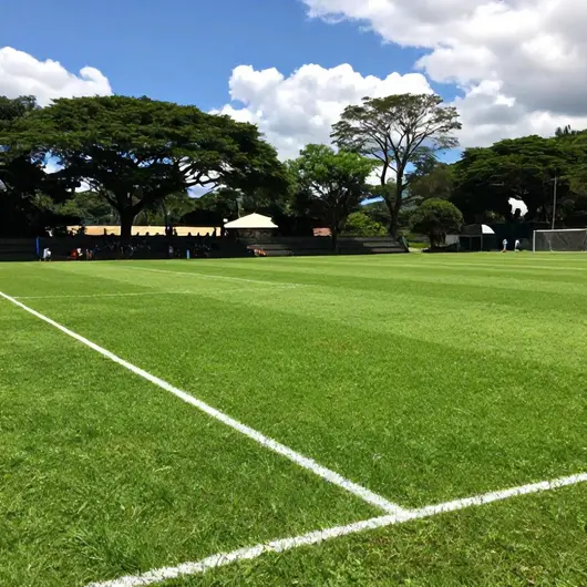 Campo de Futebol Dom Orione: O Espaço Ideal Para o Esporte