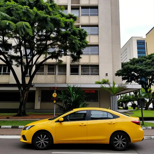 CNF Táxi: O Melhor Transporte da Região