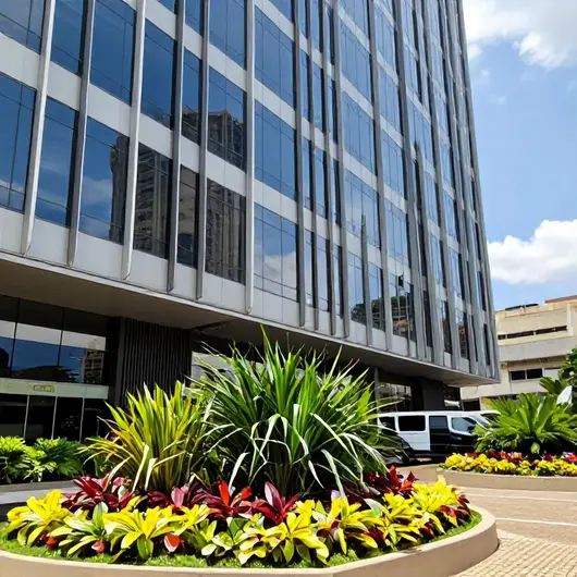 Correa Transporte Executivo: Transporte de Qualidade em Belo Horizonte