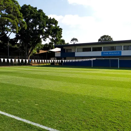 Descubra a Escola de Futebol Real Society