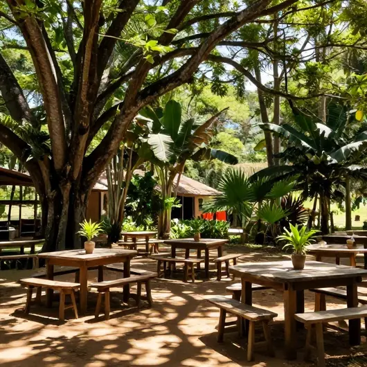 Descubra Na Floresta Descubra Na Floresta