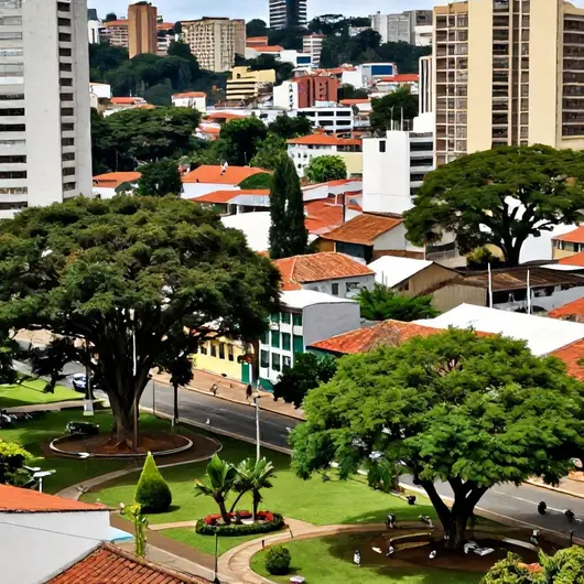 Descubra o Belvedere