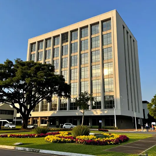 Descubra o Mater Dei Contorno