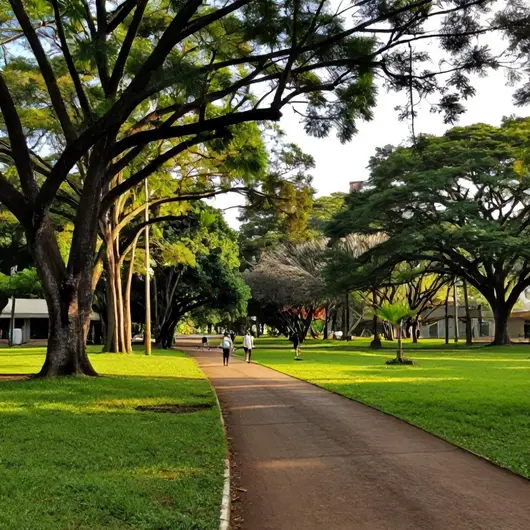 Descubra o Parque Municipal das Mangabeiras Descubra o Parque Municipal das Mangabeiras