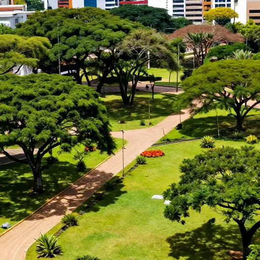 Descubra o Parque Municipal de BH Descubra o Parque Municipal de BH