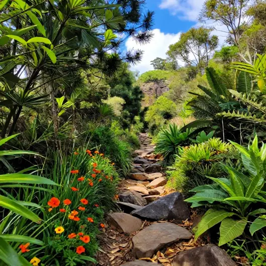 Explorando as Trilhas da Reserva