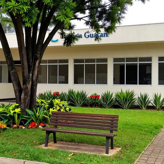 Geriatria