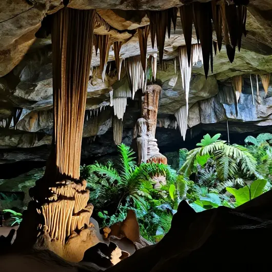 Gruta Rei do Mato e Maquiné: Descubra as Maravilhas Naturais Gruta Rei do Mato e Maquiné: Descubra as Maravilhas Naturais