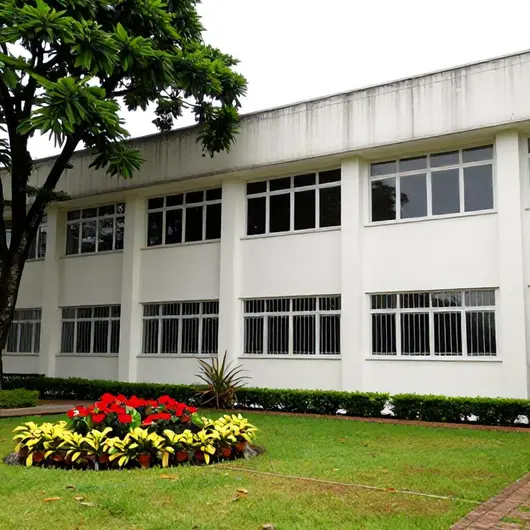 Instituto Geriátrico: Cuidado e Acolhimento para Idosos