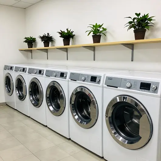 Os 39 melhores serviços de lavanderias em Belo Horizonte