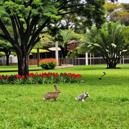 Recanto Animal