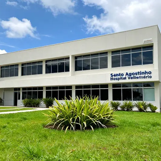 Santo Agostinho Hospital Veterinário Santo Agostinho Hospital Veterinário