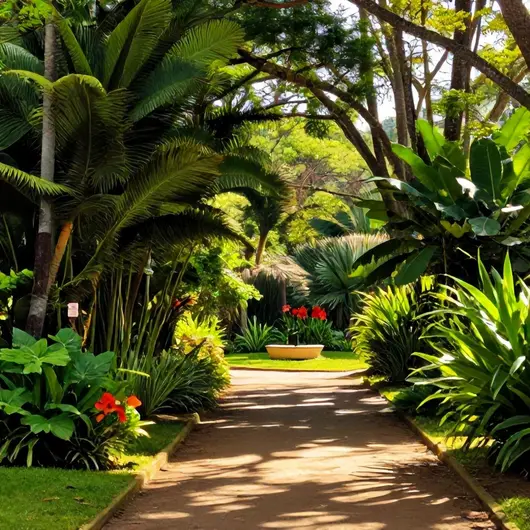 Verdes e Veredas: Um Refúgio de Natureza em Belo Horizonte
